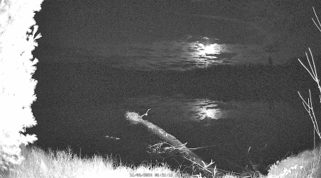 Image from 2024-11-06