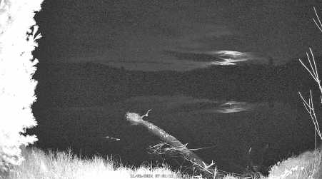 Image from 2024-11-06