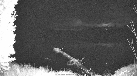 Image from 2024-11-06
