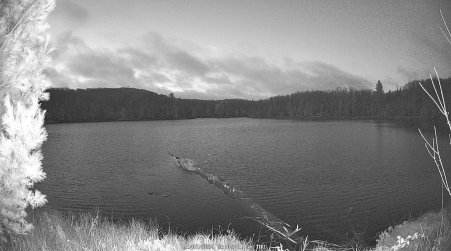 Image from 2024-11-07