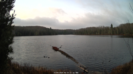 Image from 2024-11-07