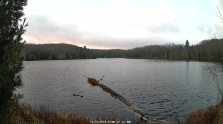 Image from 2024-11-07