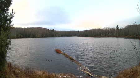 Image from 2024-11-07