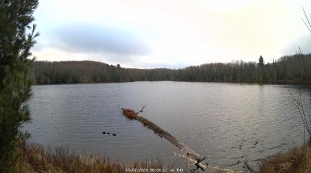 Image from 2024-11-07