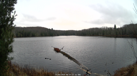 Image from 2024-11-07