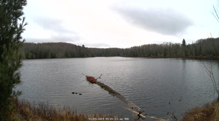 Image from 2024-11-07