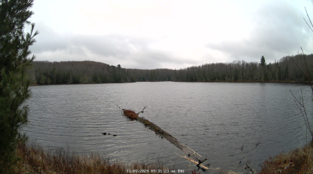 Image from 2024-11-07