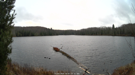 Image from 2024-11-07