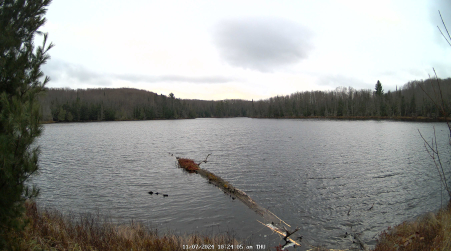 Image from 2024-11-07