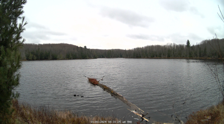 Image from 2024-11-07