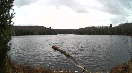 Image from 2024-11-07