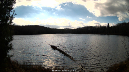Image from 2024-11-07