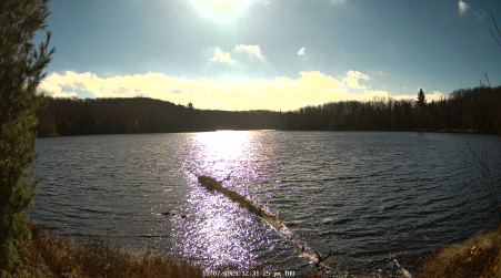 Image from 2024-11-07