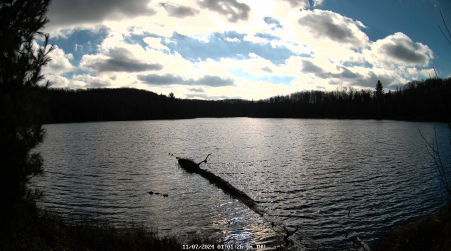 Image from 2024-11-07