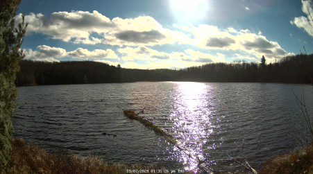 Image from 2024-11-07