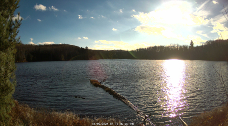 Image from 2024-11-07