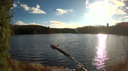 Image from 2024-11-07