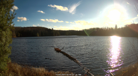 Image from 2024-11-07