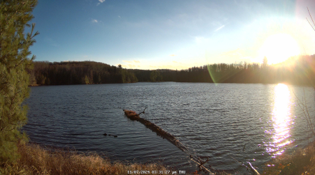 Image from 2024-11-07