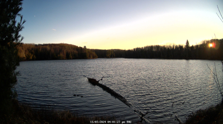 Image from 2024-11-07