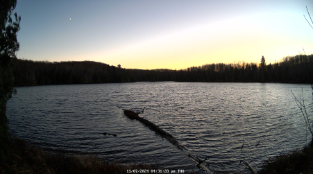 Image from 2024-11-07