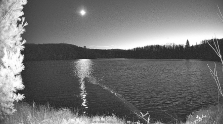 Image from 2024-11-07