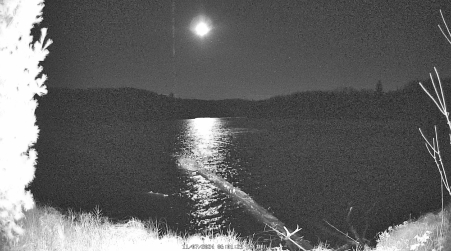 Image from 2024-11-07