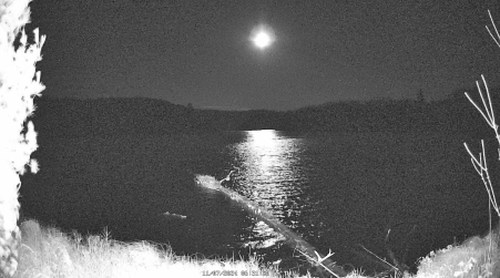 Image from 2024-11-07