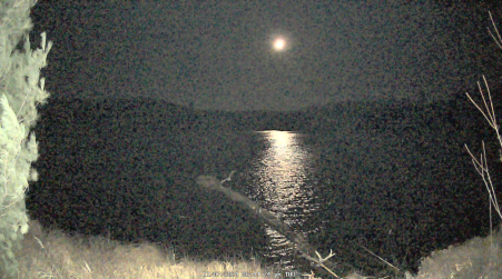 Image from 2024-11-07
