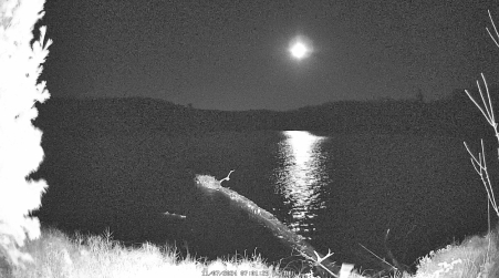 Image from 2024-11-07