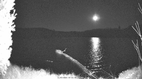 Image from 2024-11-07