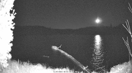 Image from 2024-11-07