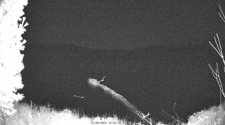 Image from 2024-11-08
