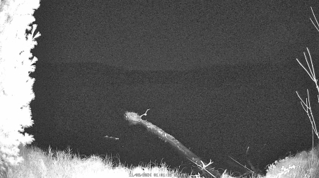 Image from 2024-11-08
