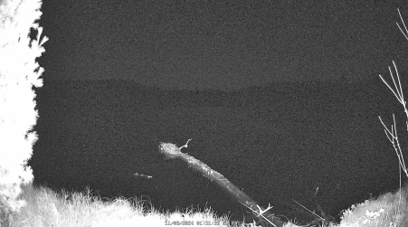 Image from 2024-11-08