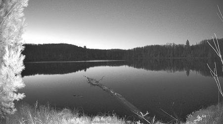 Image from 2024-11-08