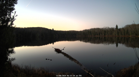 Image from 2024-11-08