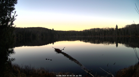 Image from 2024-11-08