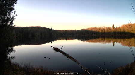 Image from 2024-11-08