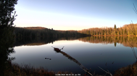 Image from 2024-11-08