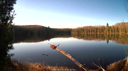Image from 2024-11-08