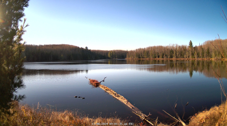 Image from 2024-11-08