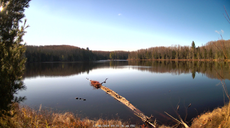 Image from 2024-11-08