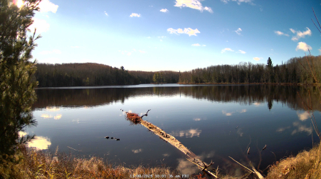 Image from 2024-11-08
