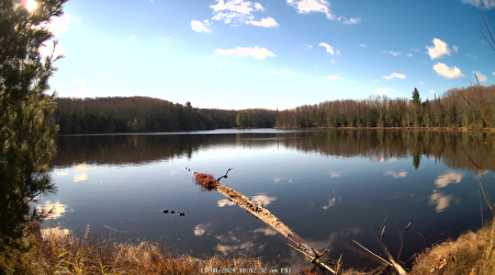 Image from 2024-11-08
