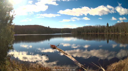Image from 2024-11-08