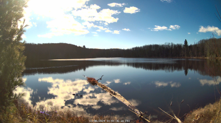 Image from 2024-11-08
