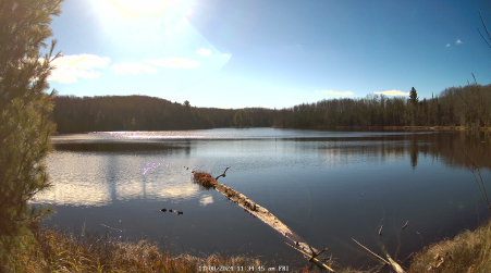 Image from 2024-11-08