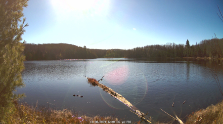Image from 2024-11-08