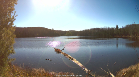 Image from 2024-11-08